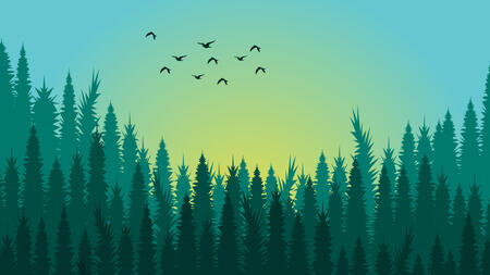 A green-tinted illustration of a flock of birds flying above a cluster of pine trees towards a setting sun.